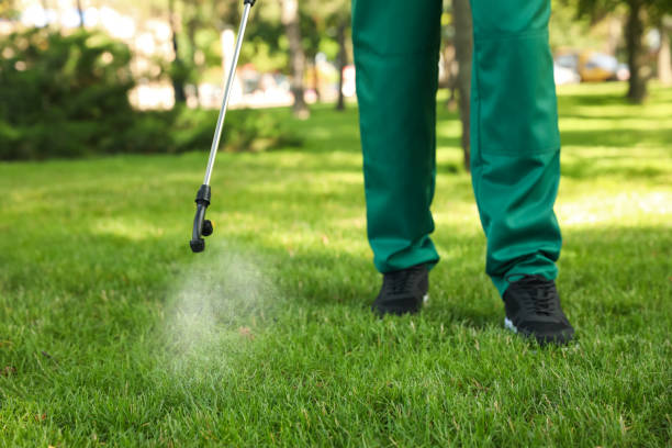 Wildlife Control Services in Conneaut, OH