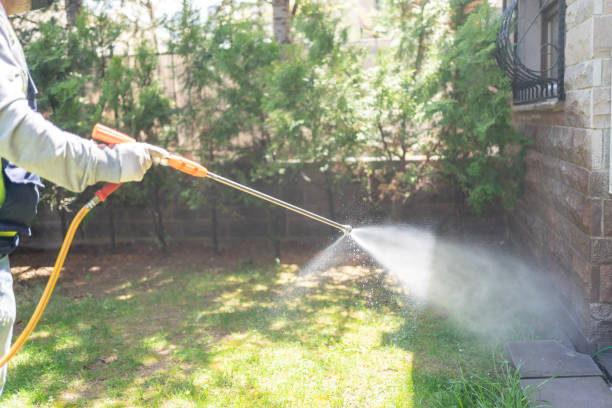 Best Wasp Removal Services  in Conneaut, OH