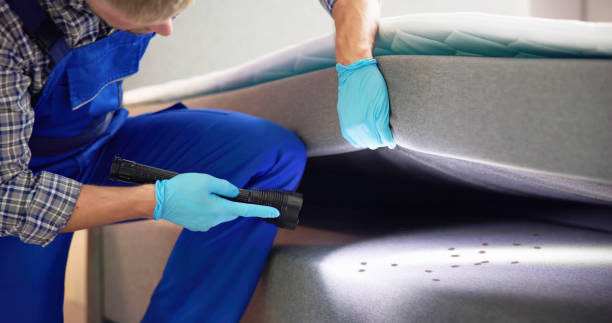 Best Affordable Pest Control Services  in Conneaut, OH