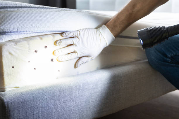 Best Pest Control Near Me  in Conneaut, OH