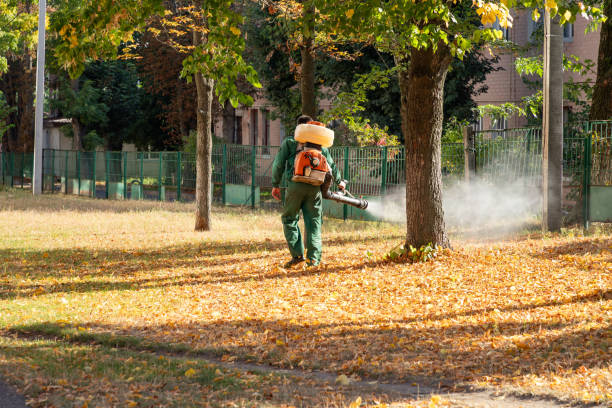 Wasp Removal Services in Conneaut, OH