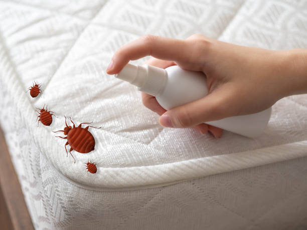 Best Pest Prevention Services  in Conneaut, OH