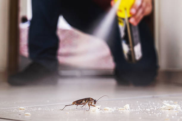 Best Pest Inspection Near Me  in Conneaut, OH